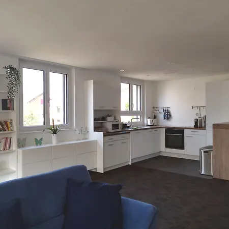 Hirschen Apartmán Gossau (St. Gallen)